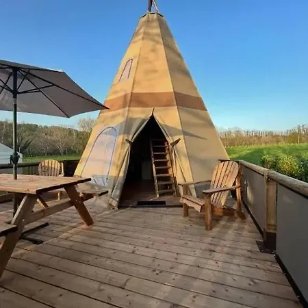 Zecamping 3 Etoiles Piscine Chauffee Toboggans Pet Friendly Locatif Tv 8 Pers Campsite *
