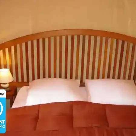 3 Etoiles - Piscine - Ccbeffi * Saucede