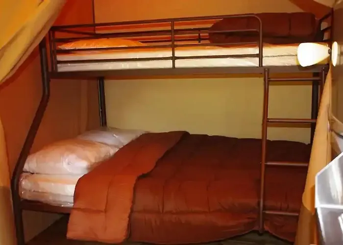 3 Etoiles - Piscine - Ccbeffi *